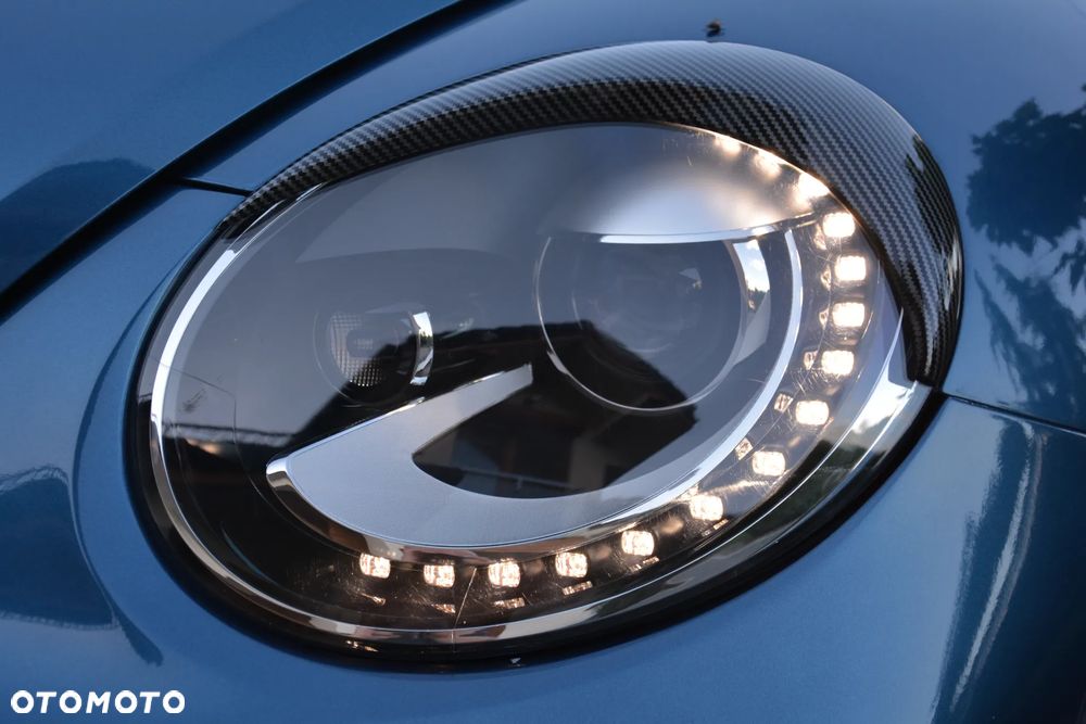 Volkswagen Beetle - 26