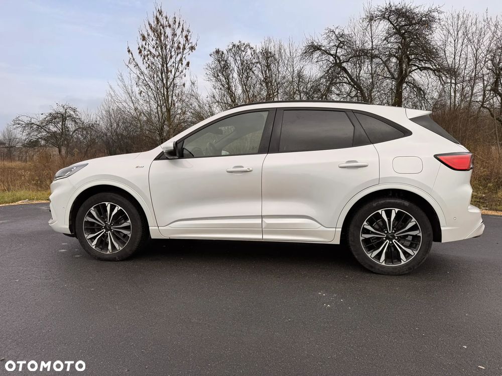 Ford Kuga 2.0 EcoBlue AWD ST-Line X - 7