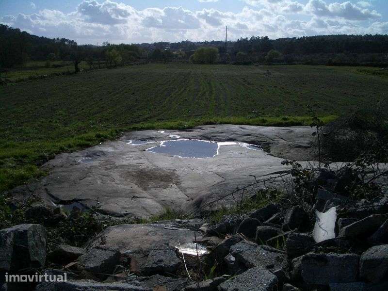 Quinta em Mangualde - Grande imagem: 5/12