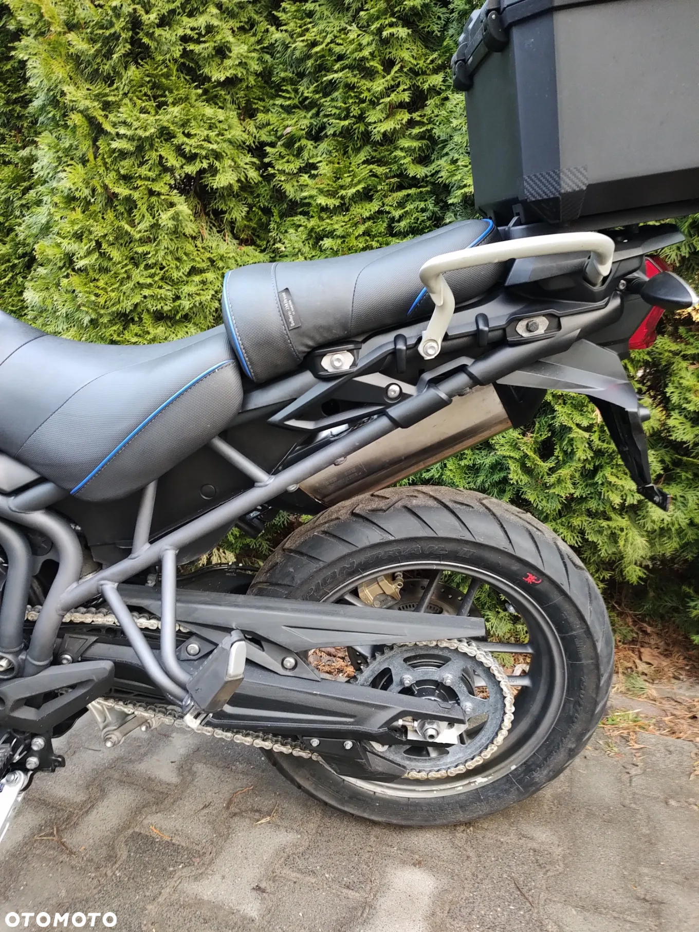 Triumph Tiger - 10