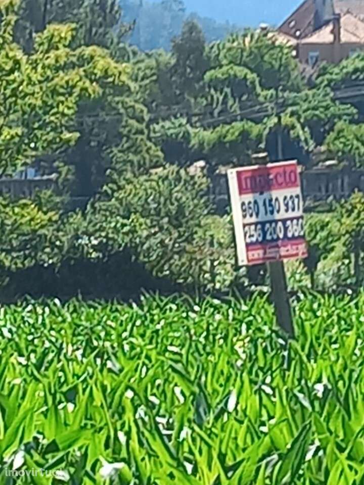 Terreno Rústico para venda em Escariz, Arouca - Grande imagem: 5/5