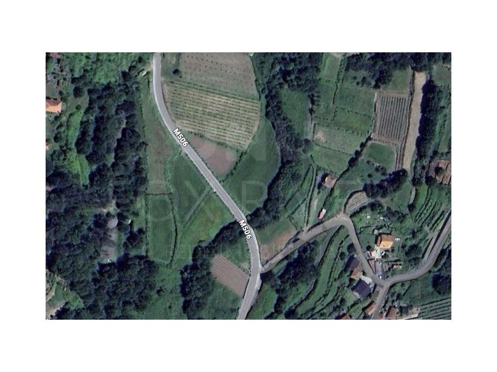 Terreno Agrícola em Gondomil- Valença - Grande imagem: 4/4