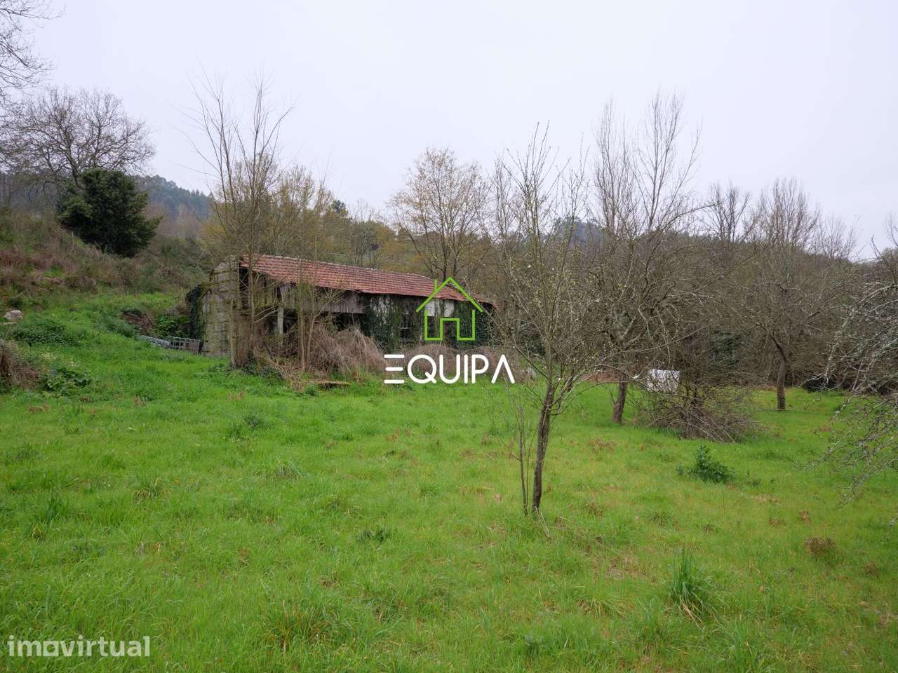 Quinta em Polvoreira - com mais de 3hectares - Grande imagem: 4/15