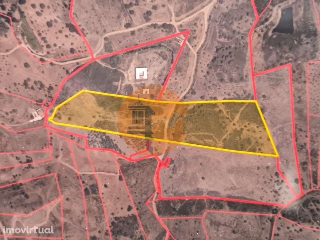 TERRENO COM 41.760 M2 - COM POSSIBILIDADE DE CONSTRUIR APOIO AGRICO... - Grande imagem: 2/21