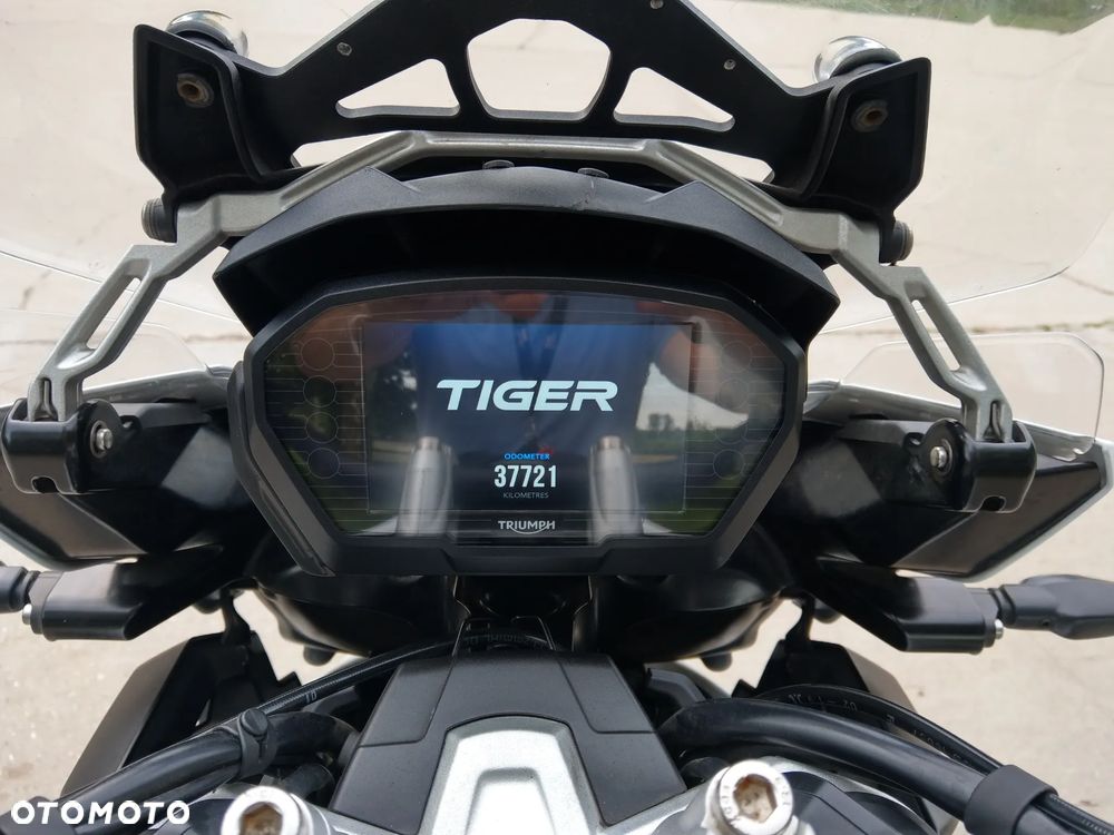 Triumph Tiger - 10