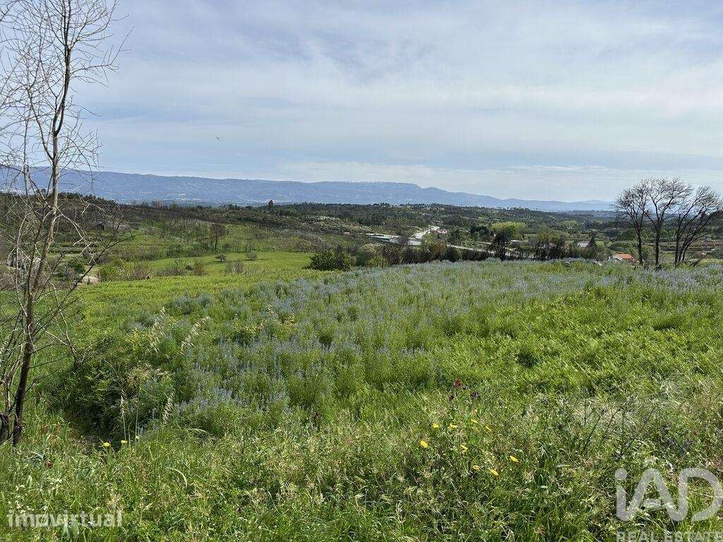 Terreno Agrícola em Mangualde, Mesquitela e Cunha Alta - Grande imagem: 2/8