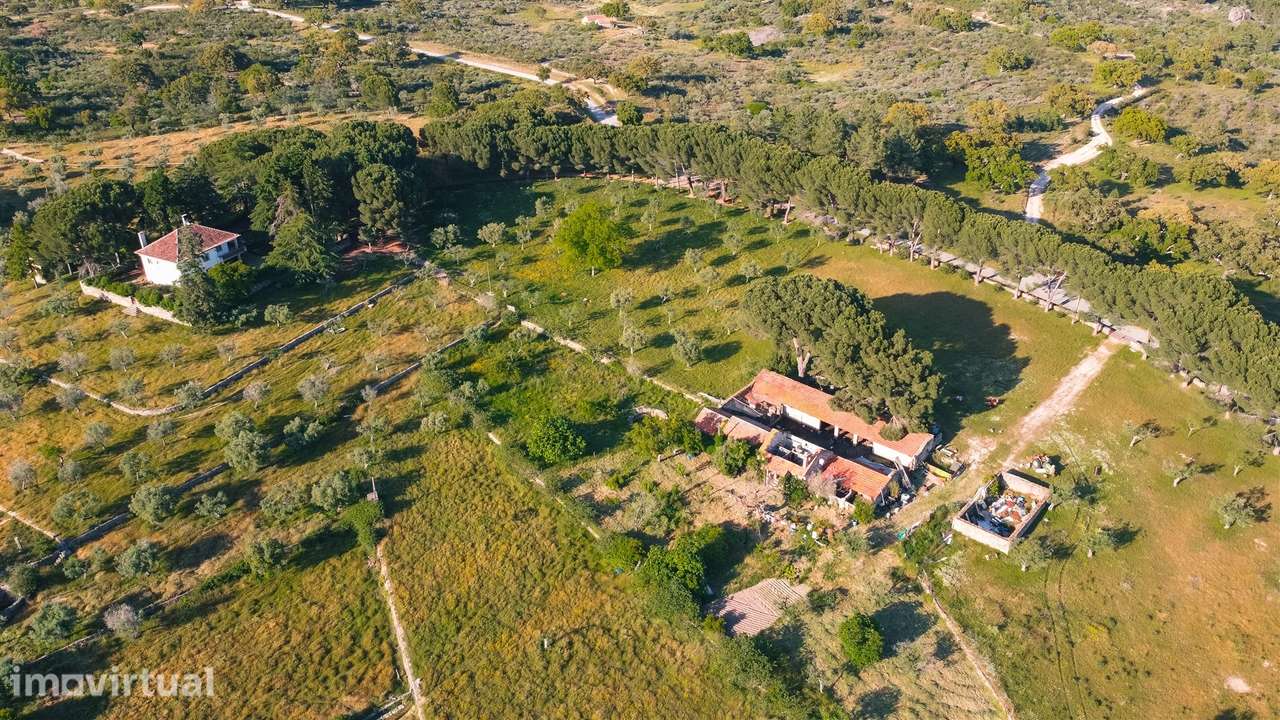 Herdade >=T10 Venda em Castelo Branco,Castelo Branco - Grande imagem: 3/60