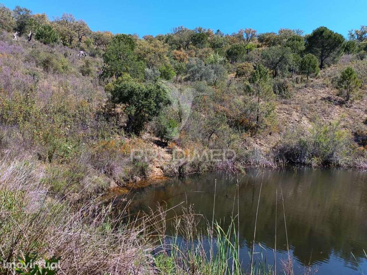 Casa de Campo - Grande imagem: 2/35