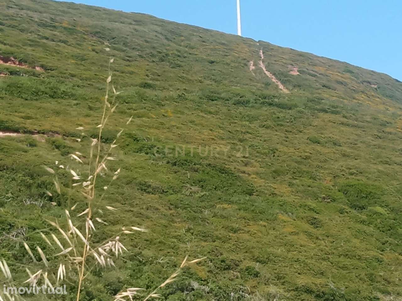Terreno em Sintra, Perto da Praia de São Julião - Grande imagem: 2/15