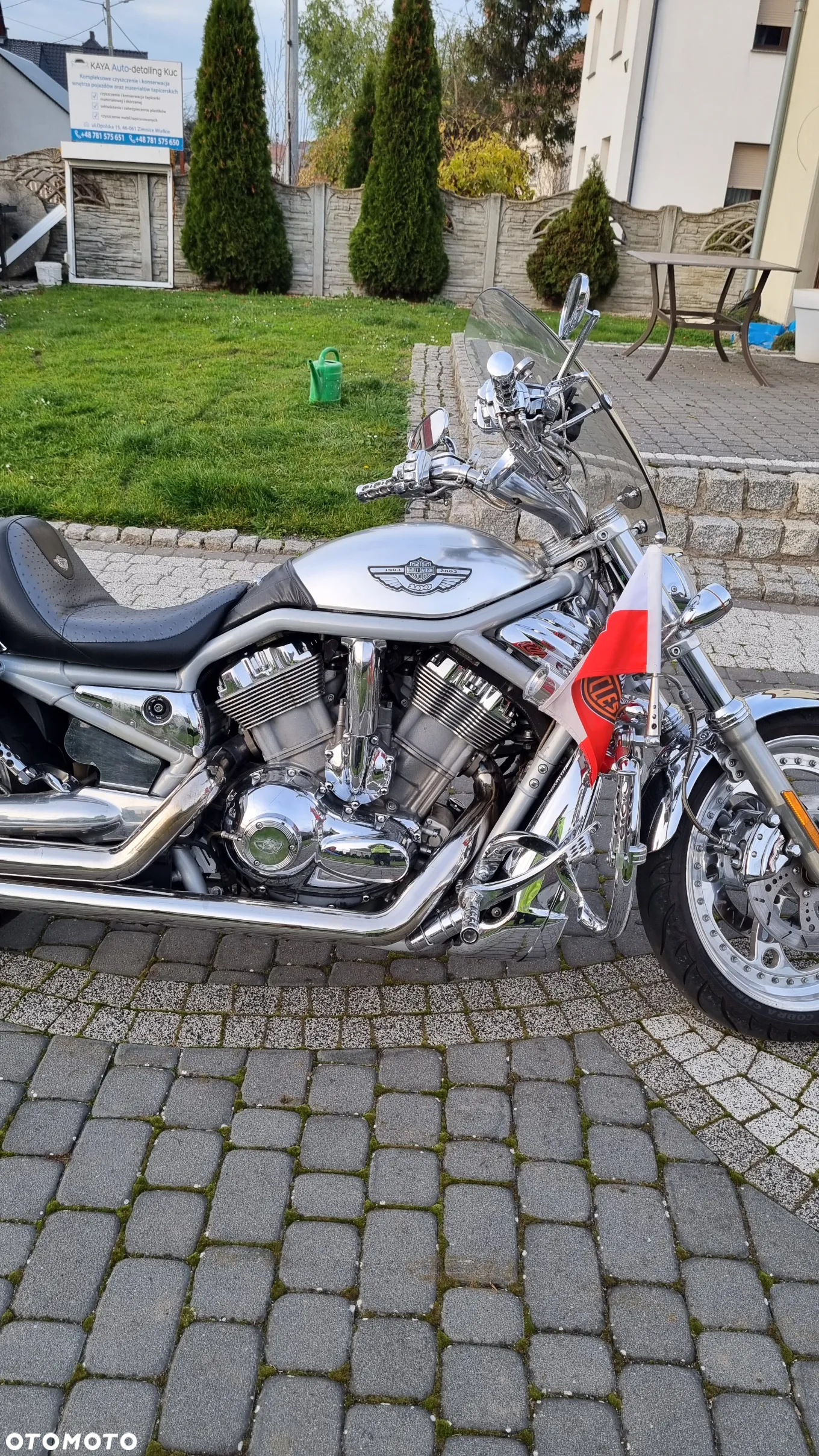 Harley-Davidson V-Rod Street Rod - 7