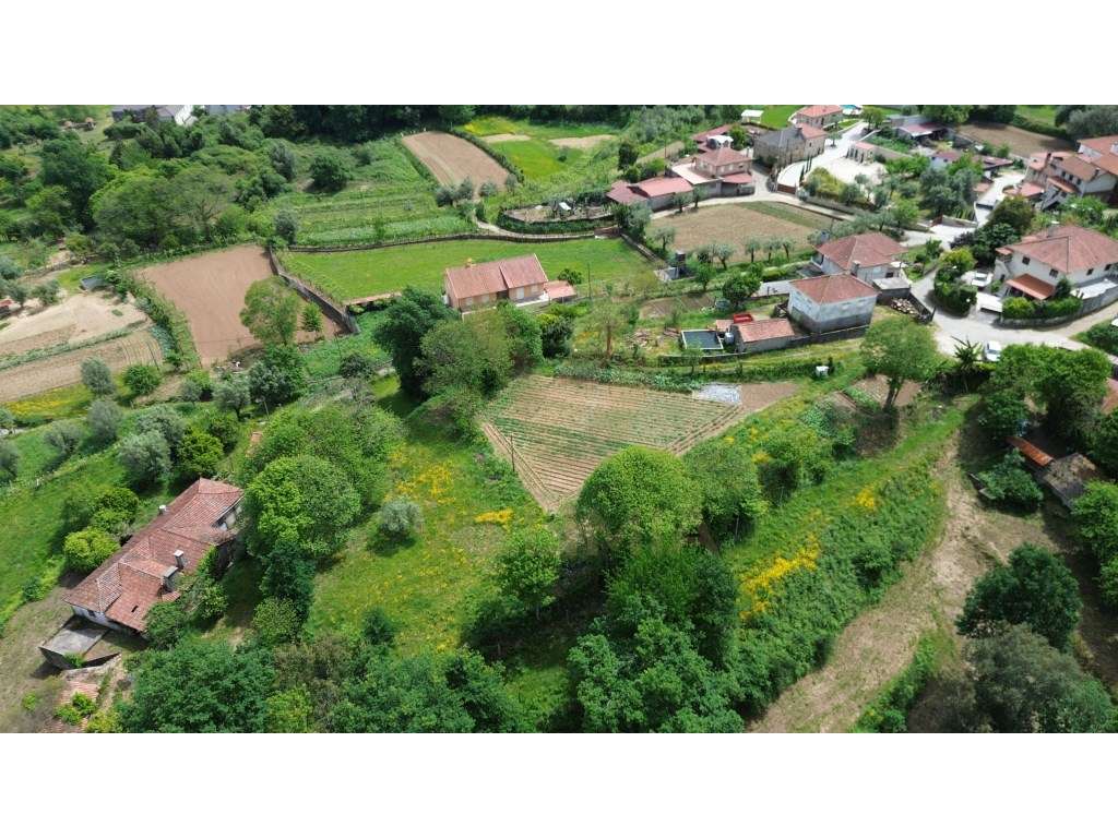 Terreno para Construção 2.640 m² | Rebordões Souto - Ponte de Lima - Grande imagem: 4/8