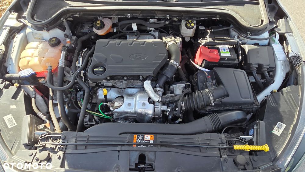 Ford Focus 1.5 EcoBlue STart-Stopp-System TITANIUM - 23