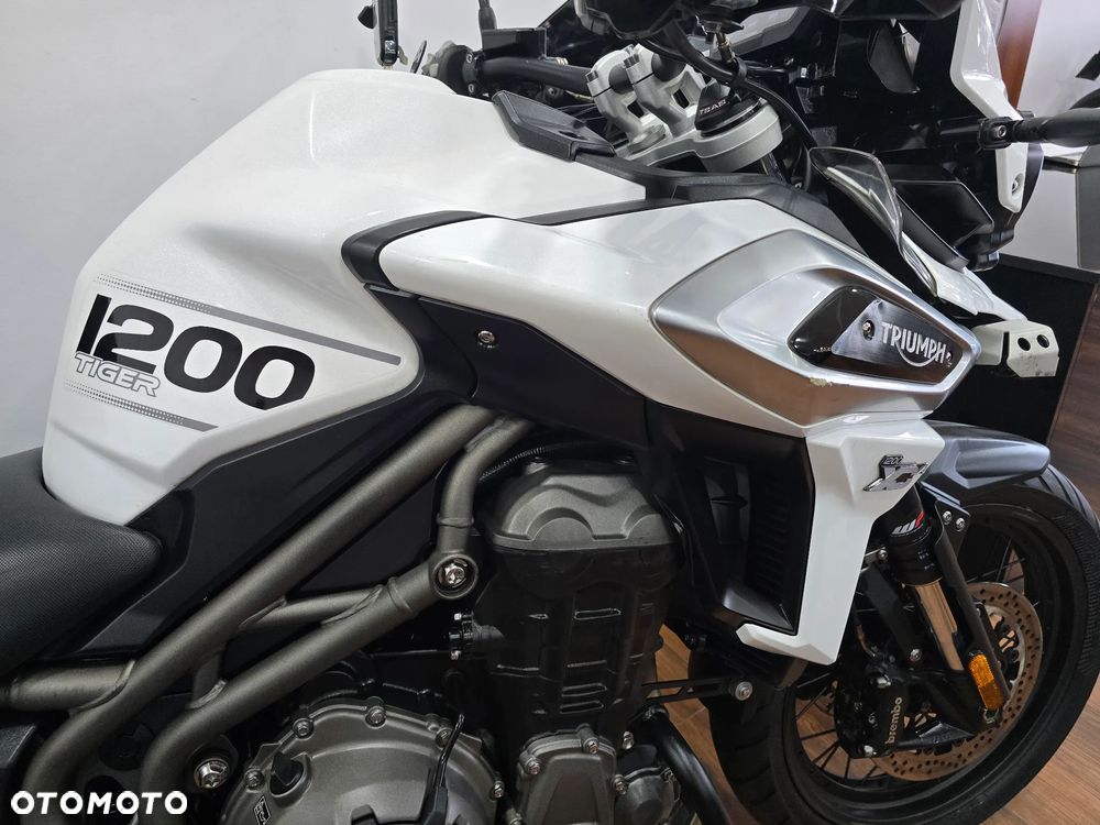 Triumph Tiger - 21