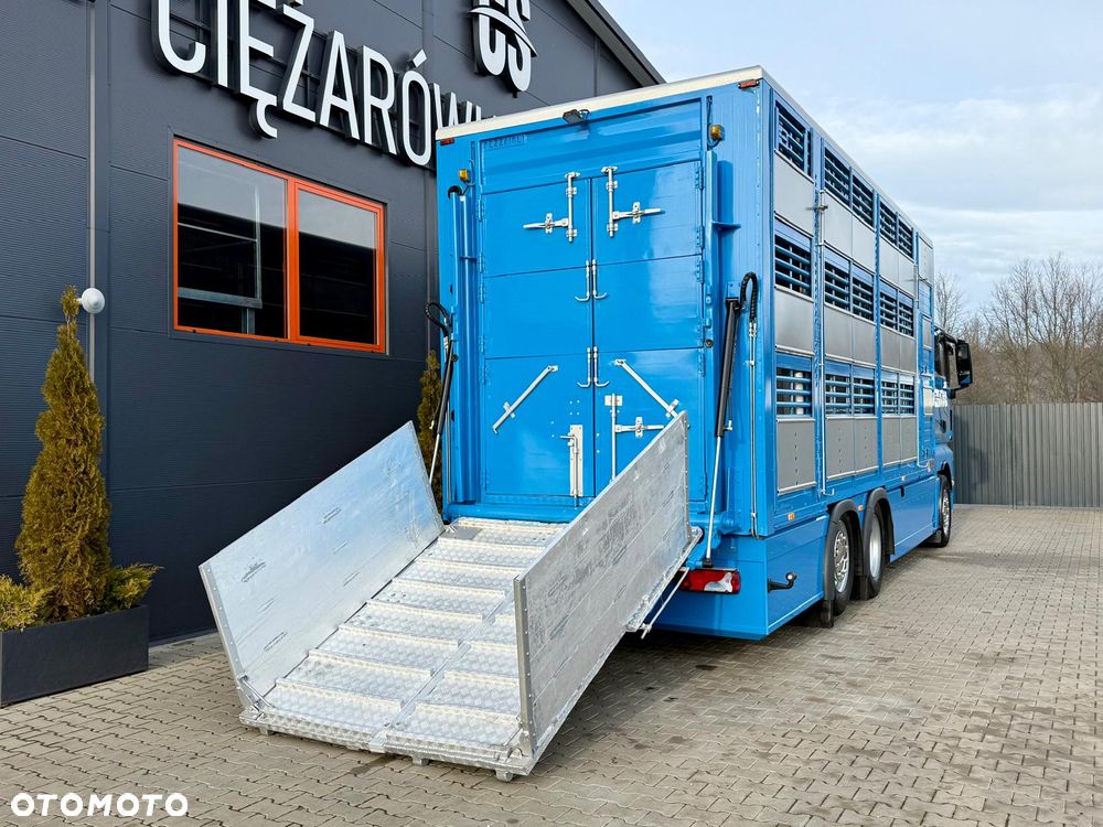 MAN TGX 26.540 // E6 // Zabudowa PEZZAIOLI // 3 poziomy hydraulika, podnoszony dach, rampa hydrauliczna // do żywca, do bydła, do transportu zwierząt - 14