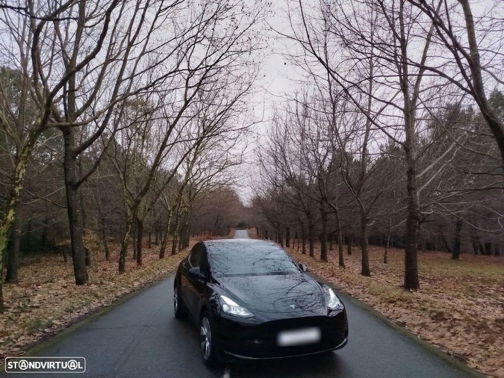 Tesla Model Y RWD - 12