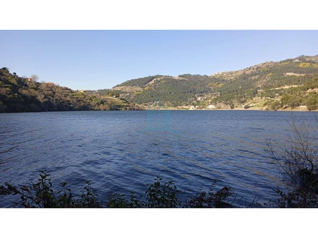 Quinta no Douro - Grande imagem: 2/16