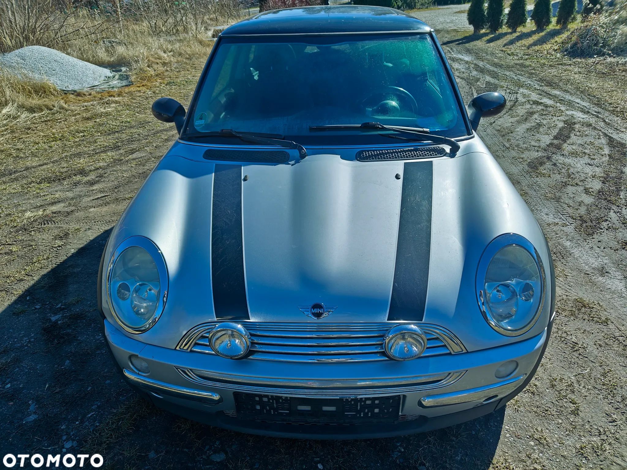 MINI Cooper pepper - 1