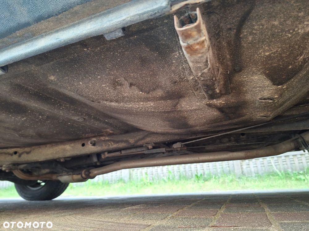 Polonez Caro - 37