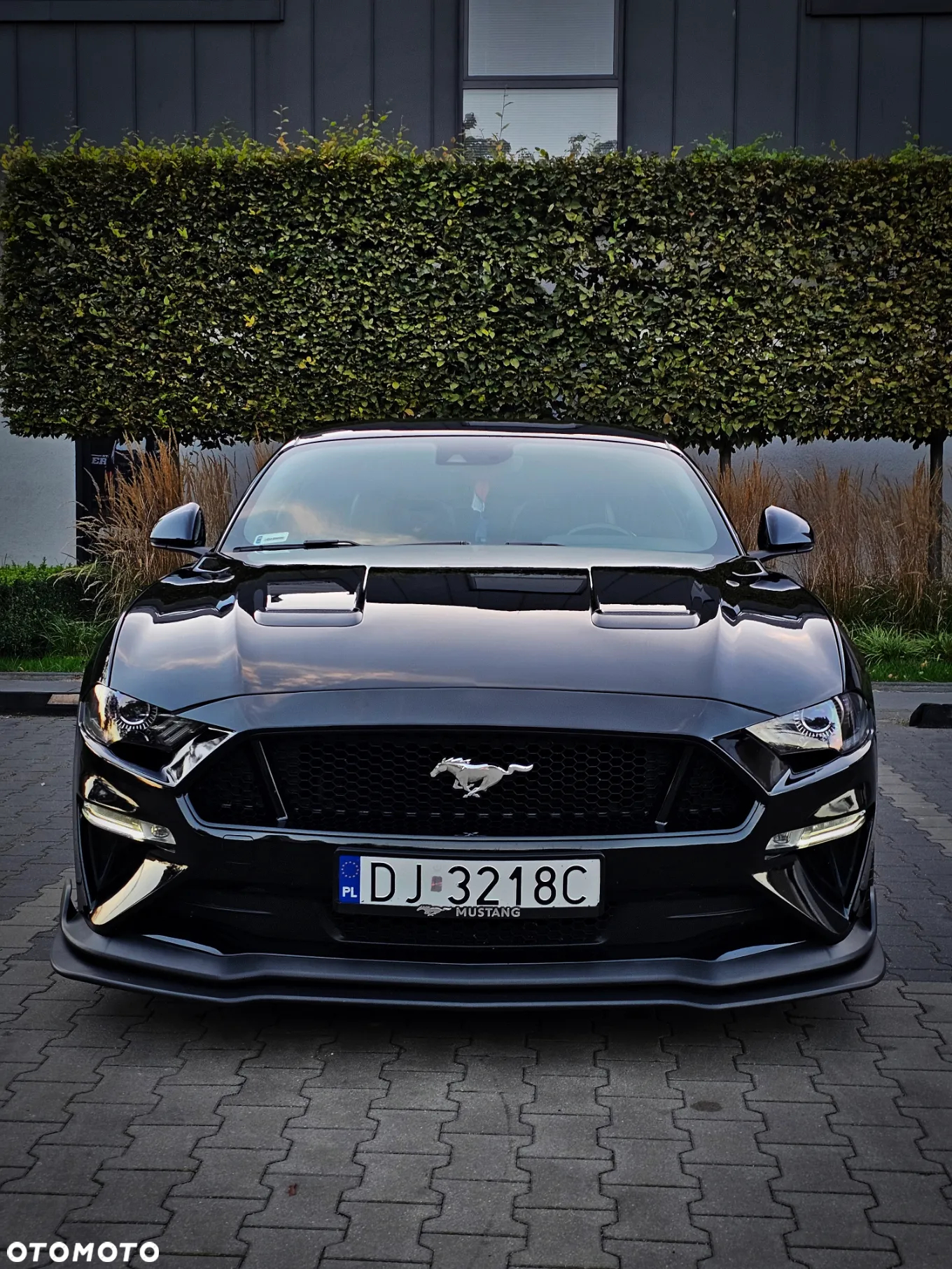 Ford Mustang 5.0 V8 GT - 2