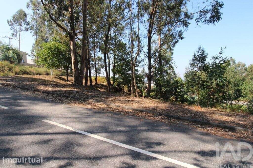 Terreno para construção em Ruivães e Novais - Grande imagem: 3/14