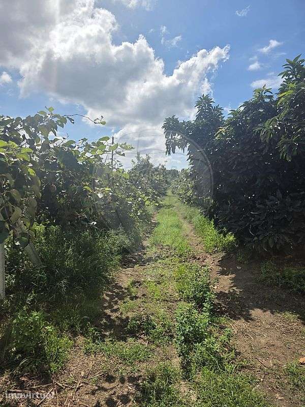 Terreno  para venda - Grande imagem: 5/6