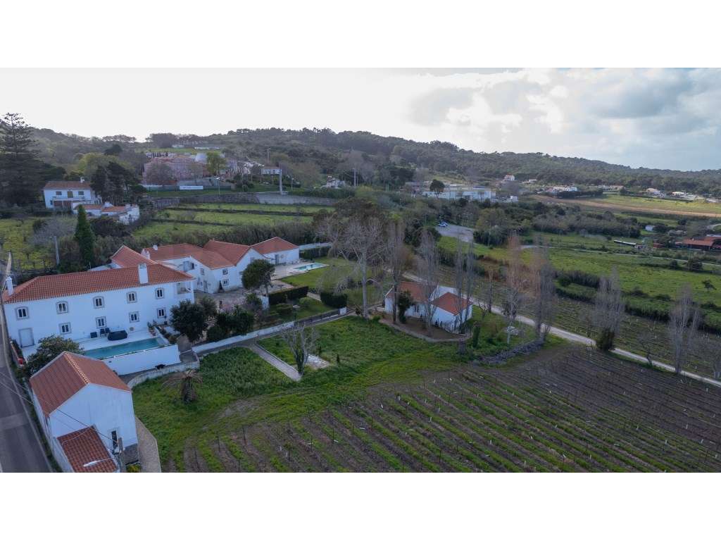QUINTA EM COLARES - Grande imagem: 3/60