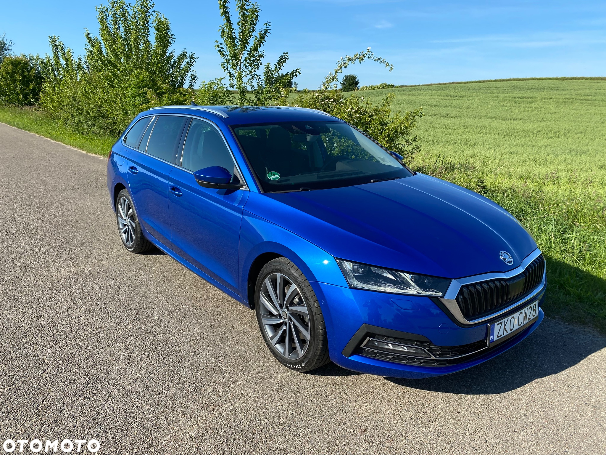 Skoda Octavia - 3