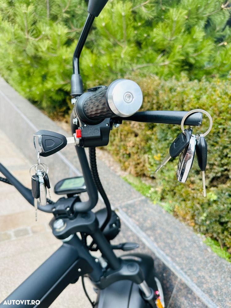 Harley-Davidson Altul - 10