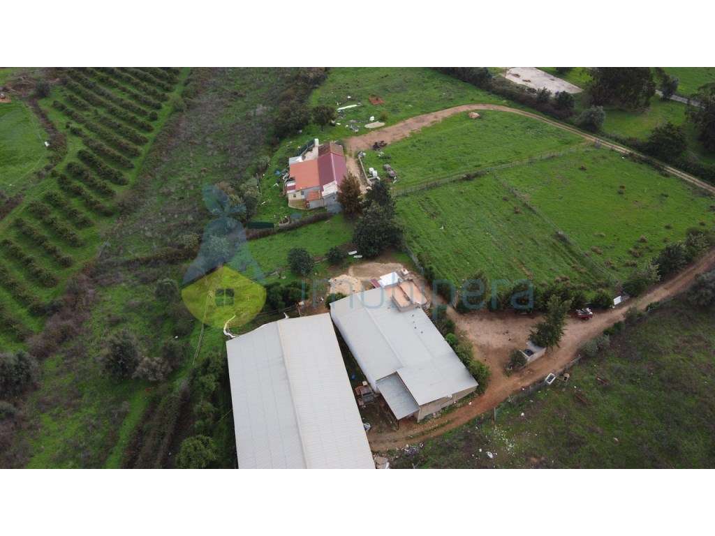 Terreno urbano e terreno rústico em Odiáxere para novo projeto. - Grande imagem: 5/22