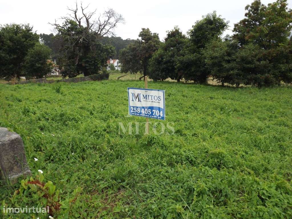 Lote - Seixas - Grande imagem: 2/4