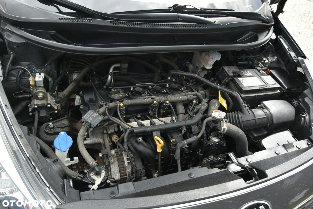 Kia Rio - 31