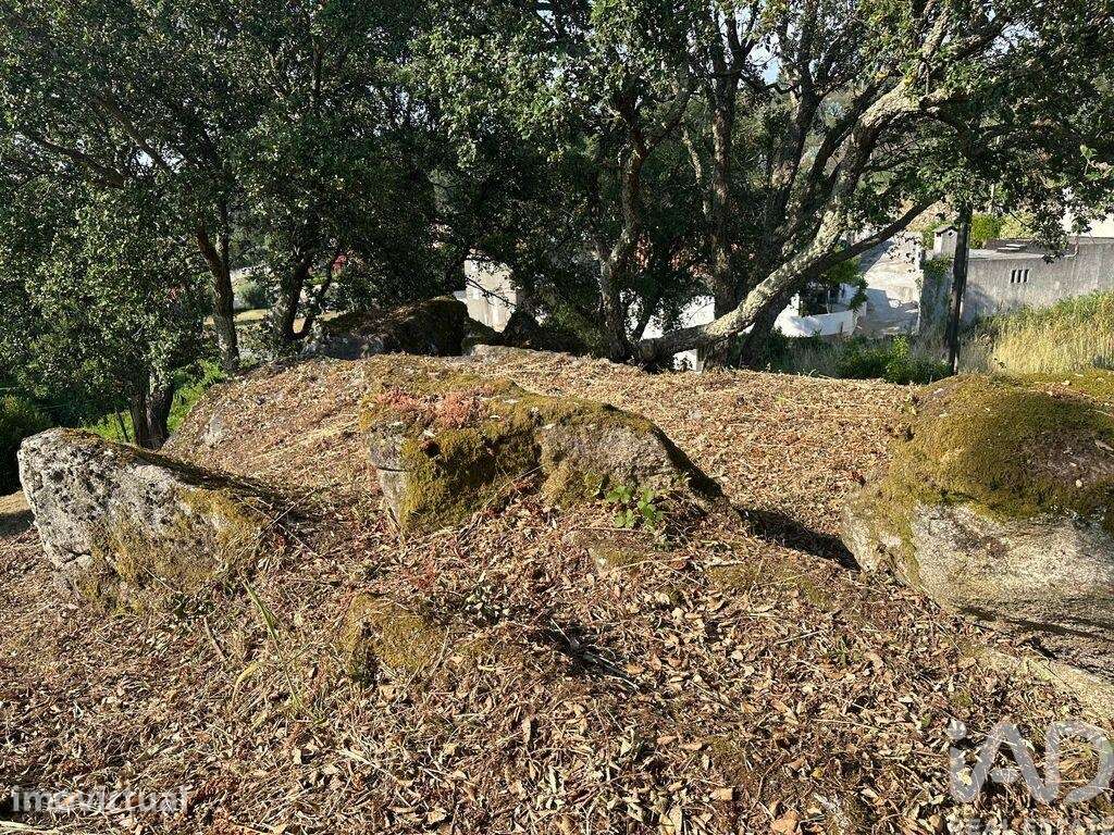 Terreno para construção em Vila de Punhe - Grande imagem: 2/37