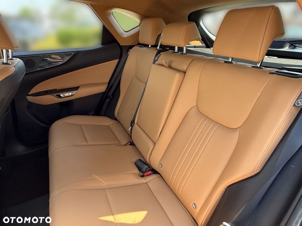 Lexus NX - 13