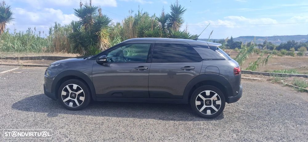 Citroën C4 Cactus 1.2 PureTech Cool&Comfort - 1