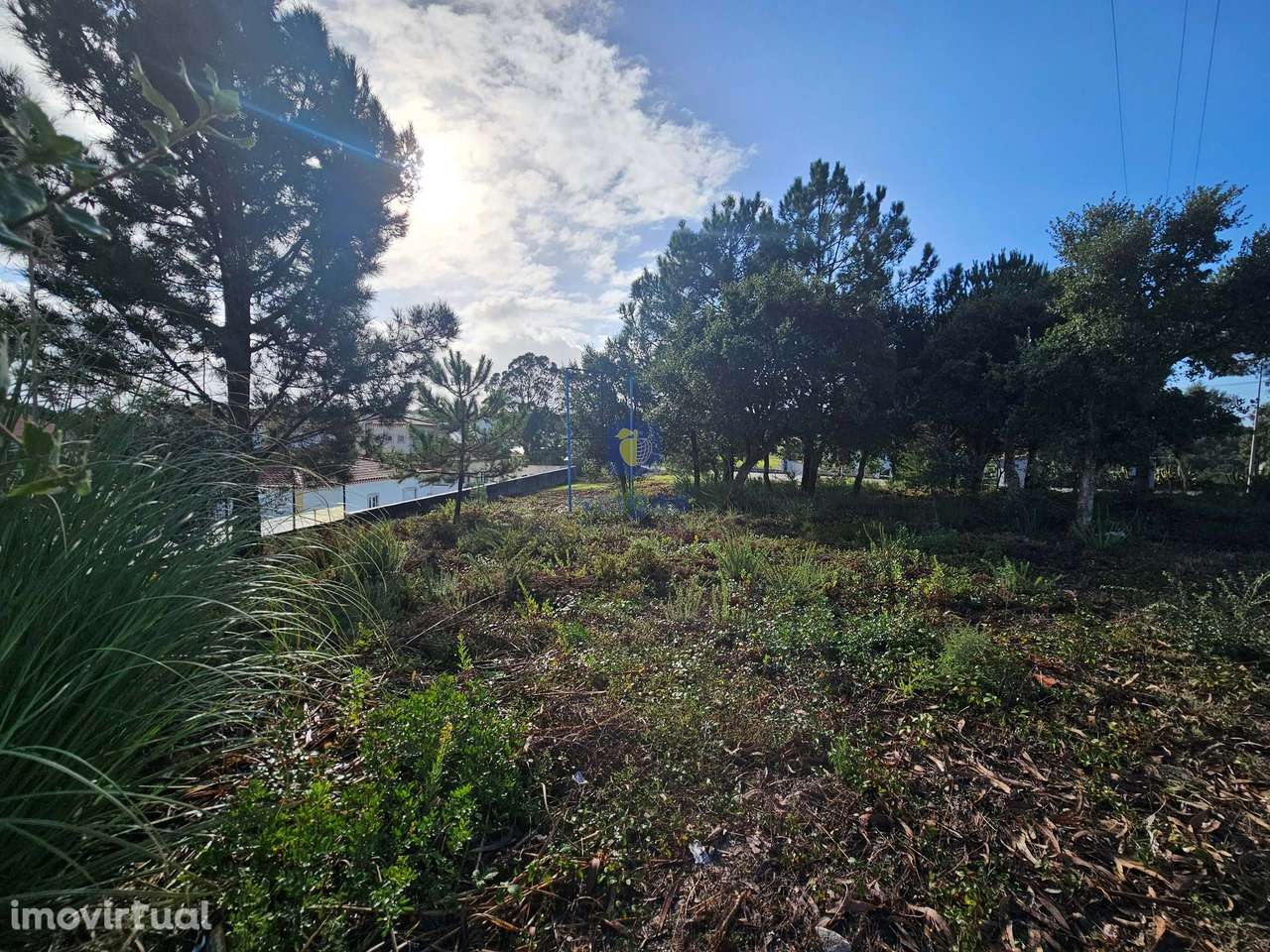 Terreno para construção no Nadadouro - Grande imagem: 5/6