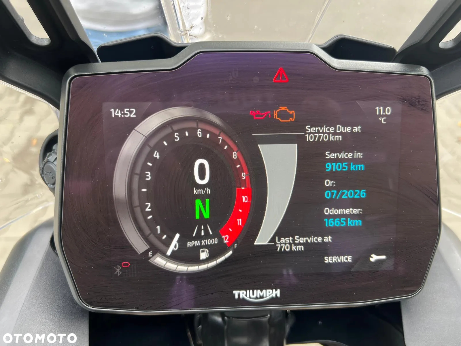 Triumph Tiger - 11