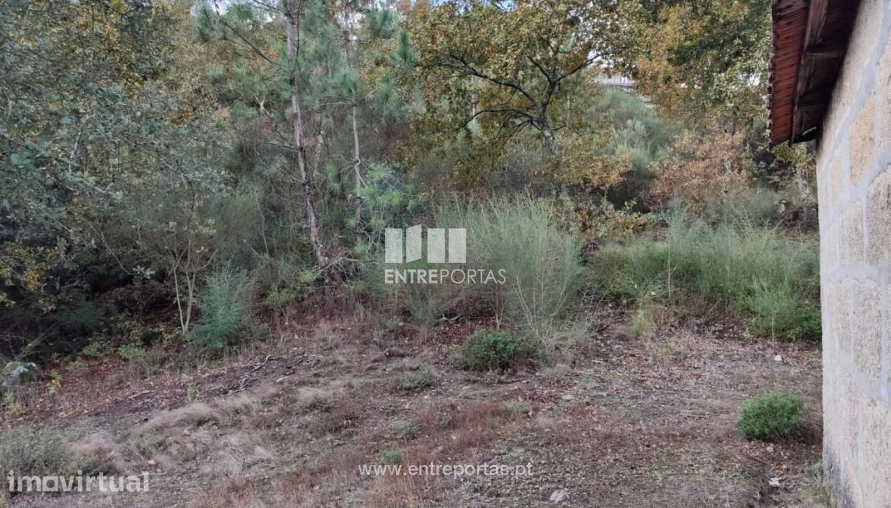 Venda Terreno, Abragão, Penafiel - Grande imagem: 2/16