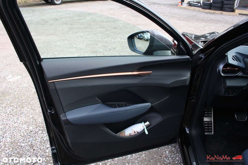 Cupra Terramar - 10