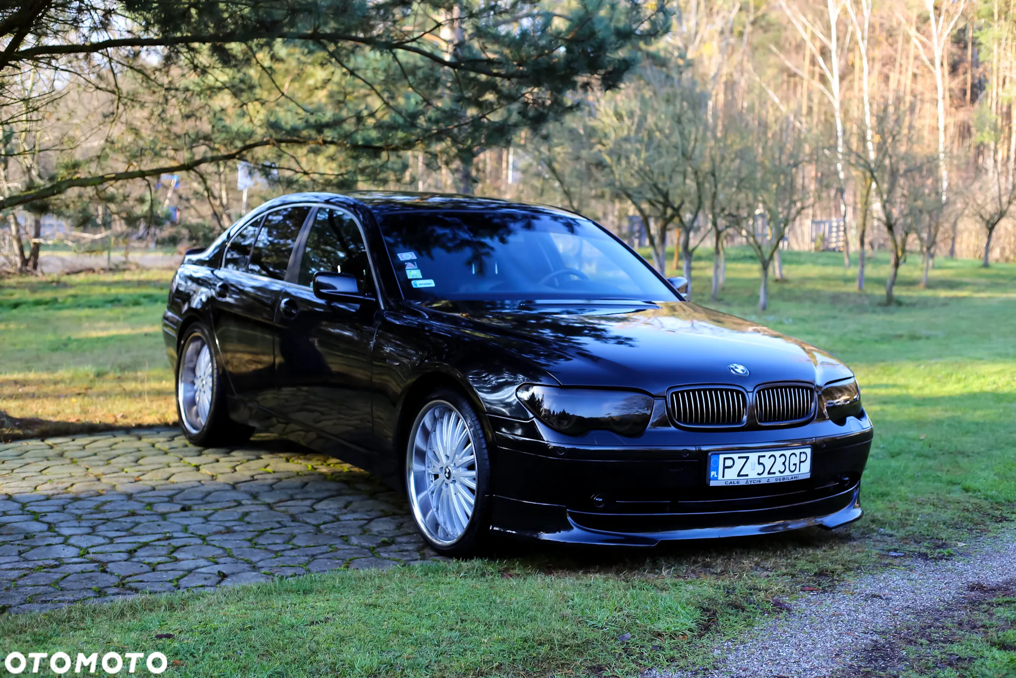 BMW Seria 7 730d - 4