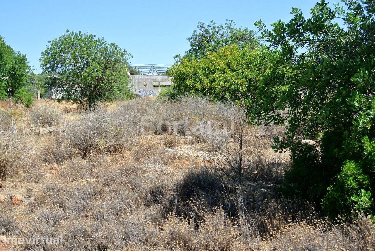 Terreno Para Construção  Venda em Almancil,Loulé - Grande imagem: 3/6