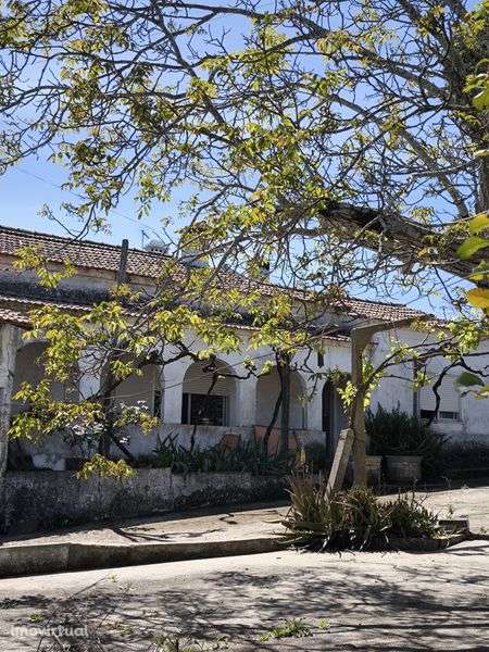 terreno rústico com parcela urbana - Grande imagem: 3/11