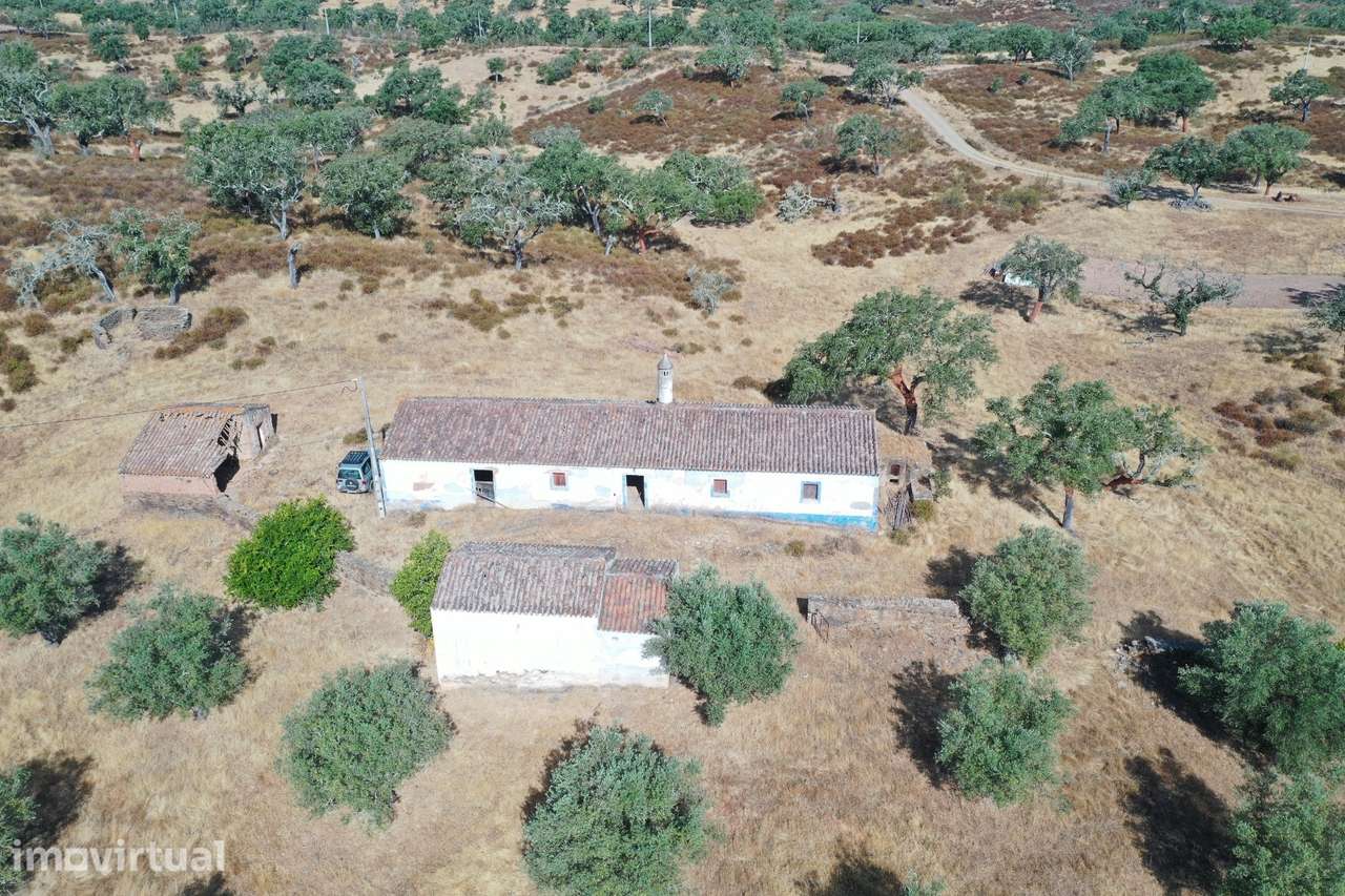 Moradia T4 Venda em Ourique,Ourique - Grande imagem: 2/39