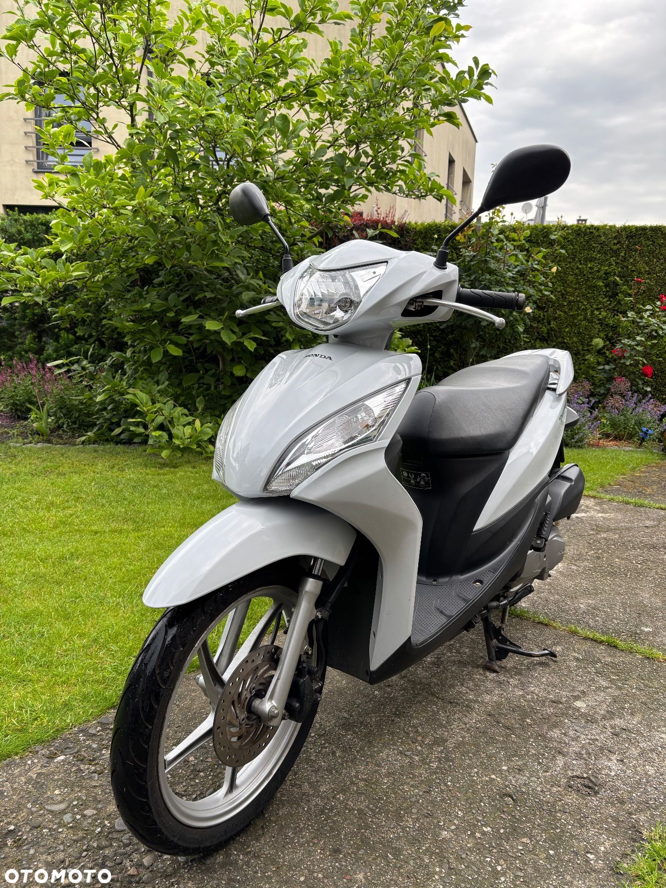 Honda Vision - 1