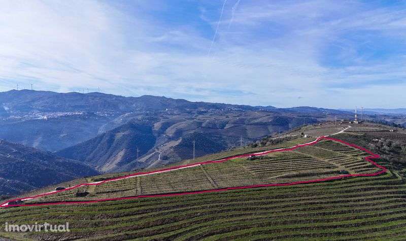 Vende-se terreno rústico em Valença do Douro - Tabuaço - Grande imagem: 3/12
