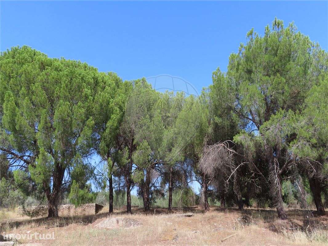 Quinta  para venda - Grande imagem: 4/50