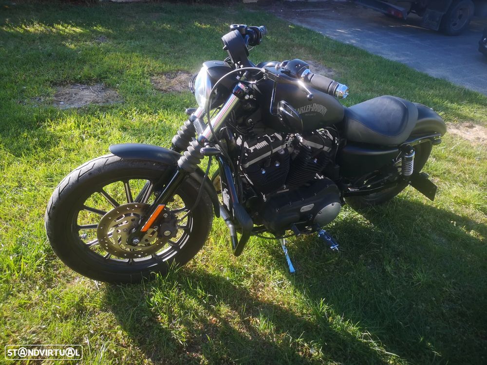 Harley-Davidson 883 - 5