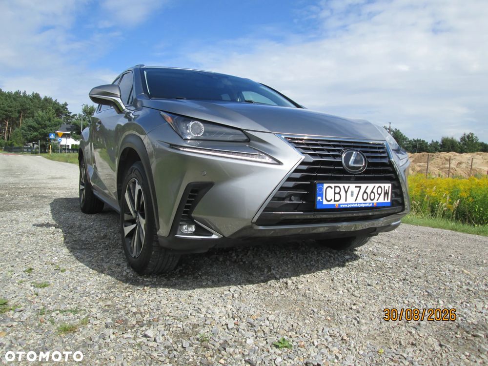 Lexus NX 300 - 6