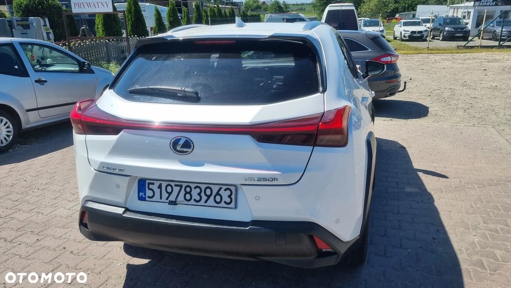 Lexus UX 250h F SPORT - 13