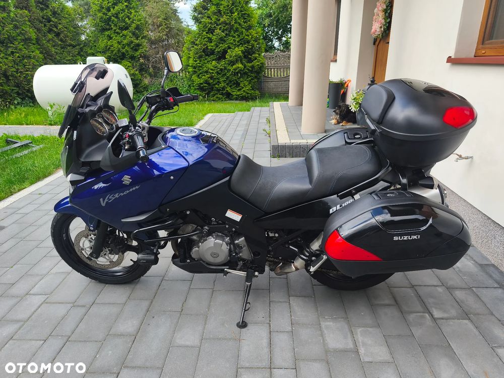 Suzuki DL - 7