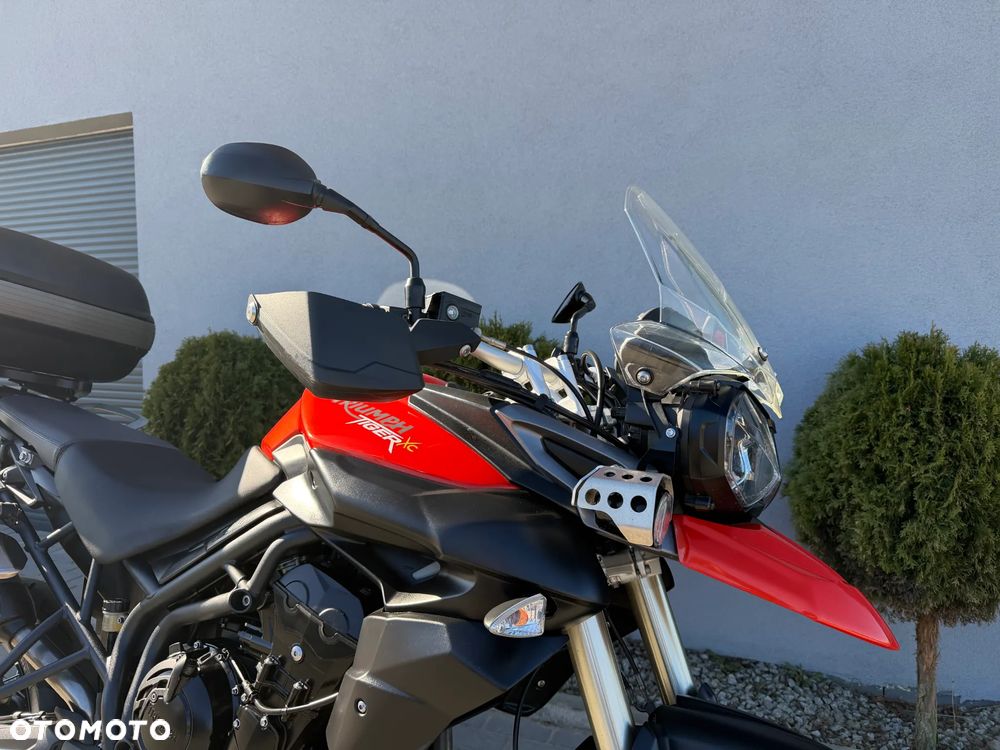 Triumph Tiger - 14